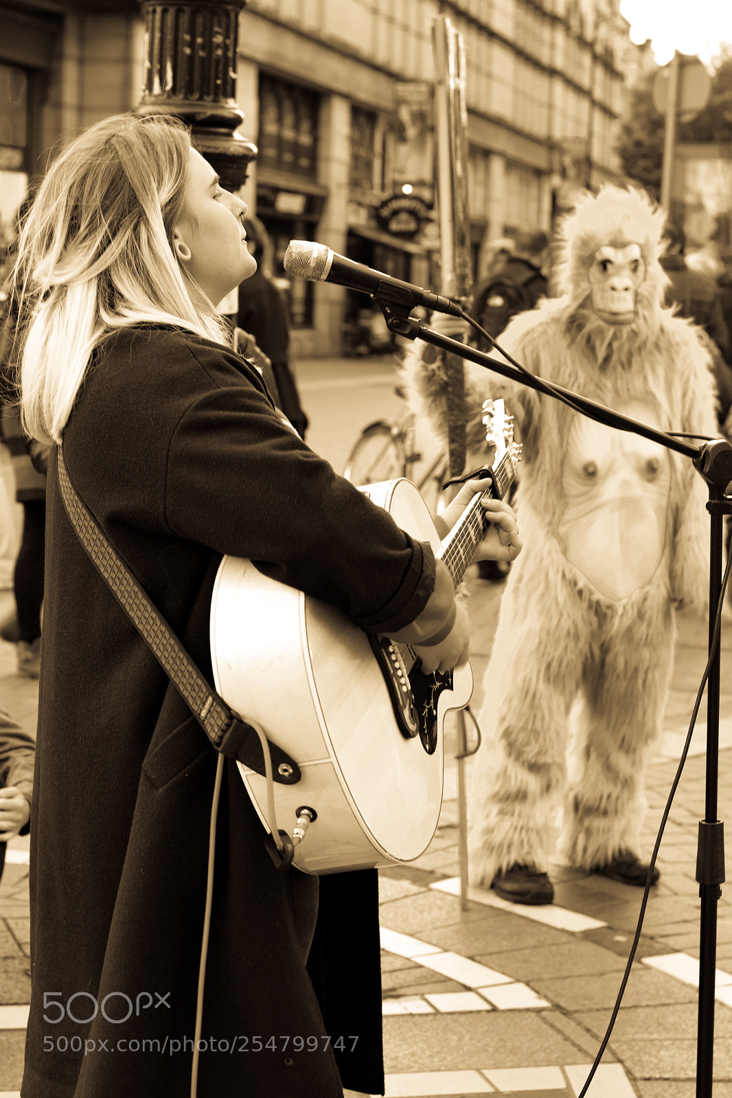 Nikon D3300 sample photo. Acting the monkey photography