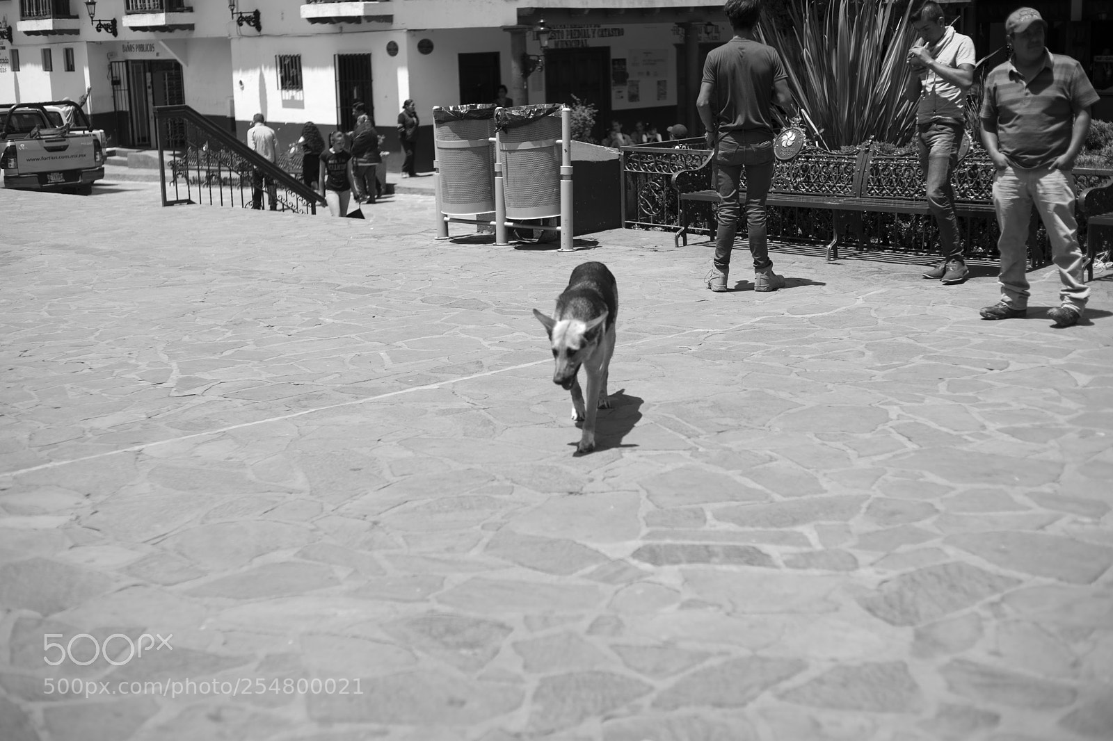 Sony Alpha DSLR-A850 sample photo. Mazamitla photography