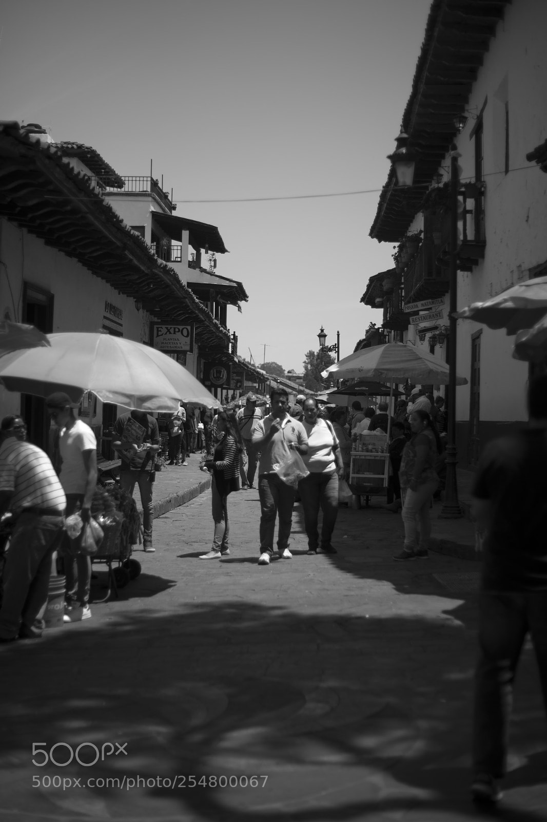 Sony Alpha DSLR-A850 sample photo. Mazamitla photography