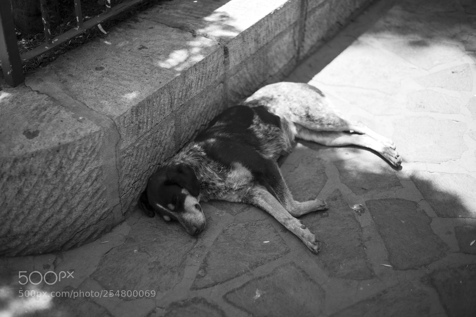 Sony Alpha DSLR-A850 sample photo. Mazamitla photography