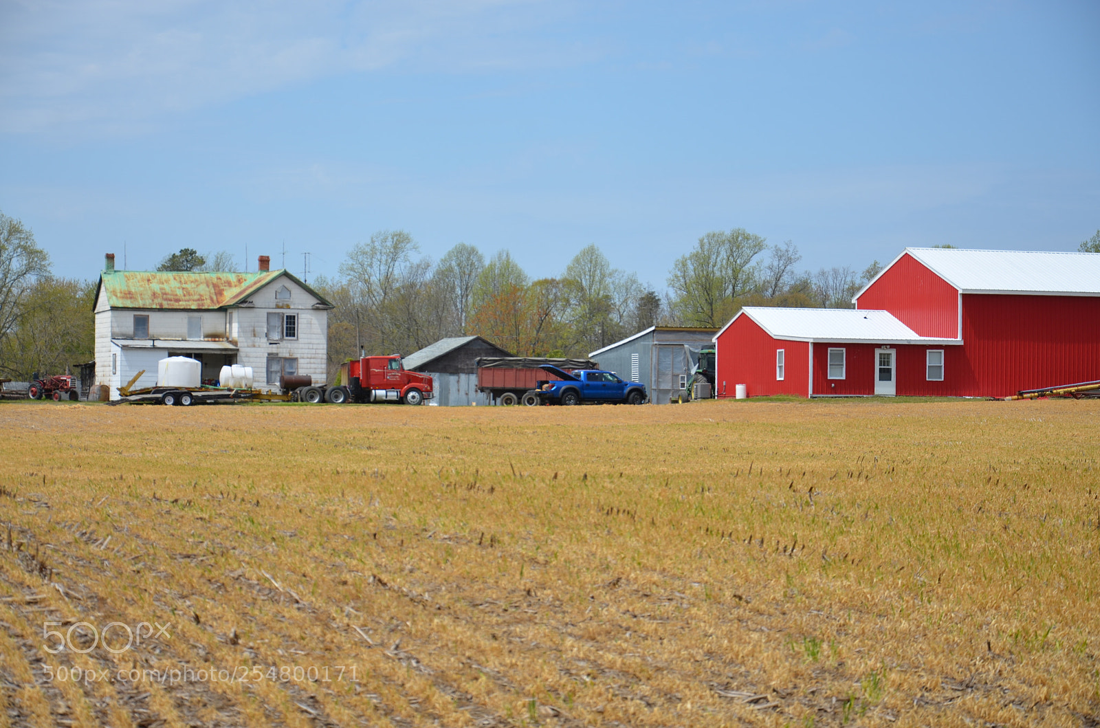 Nikon D7000 sample photo. Ready for seed photography