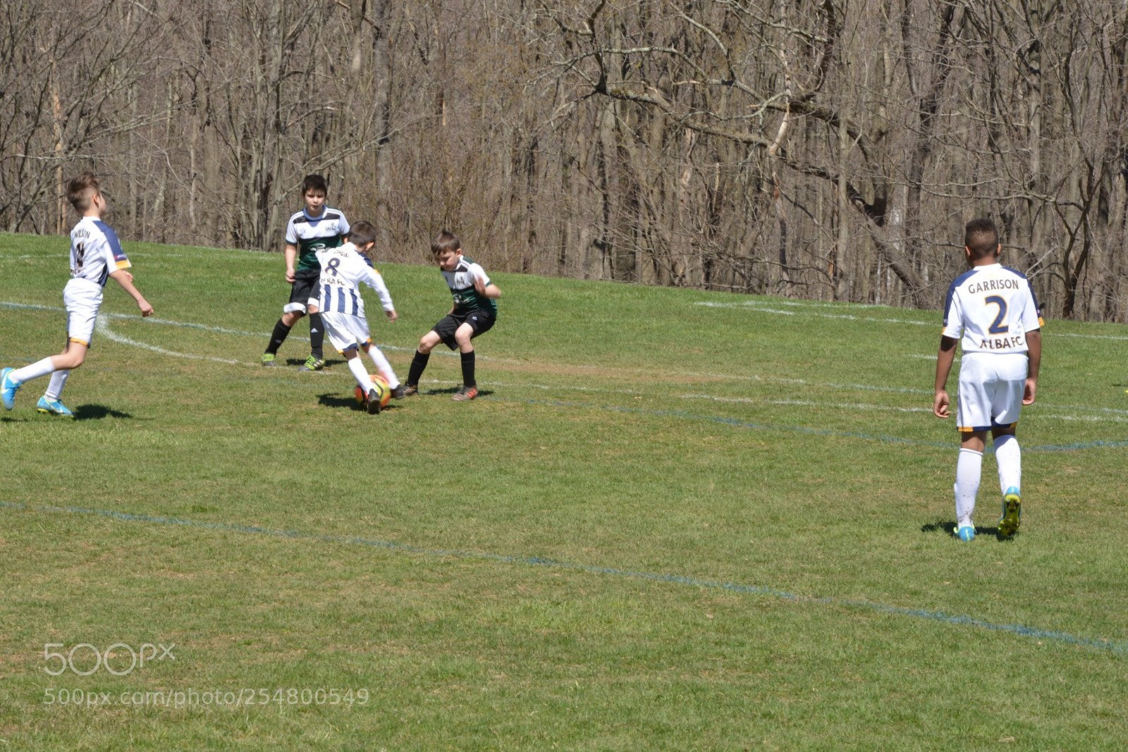 Nikon D800 sample photo. 042218 alba fc storm photography