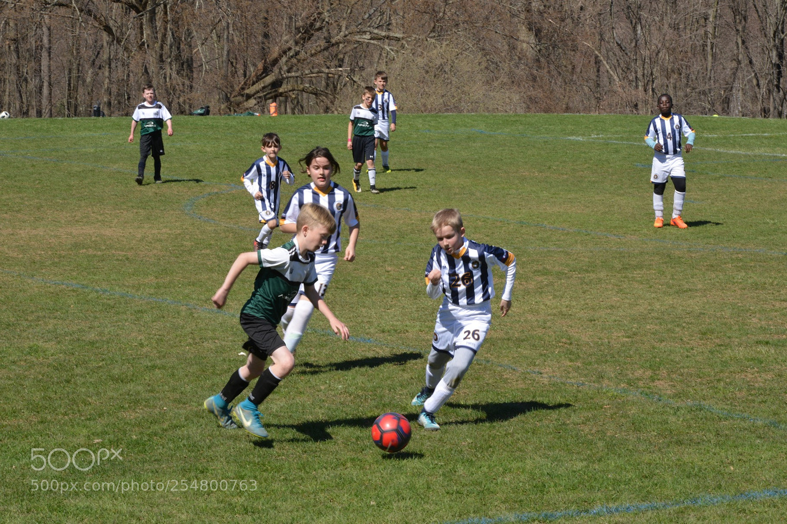 Nikon D800 sample photo. 042218 alba fc storm photography