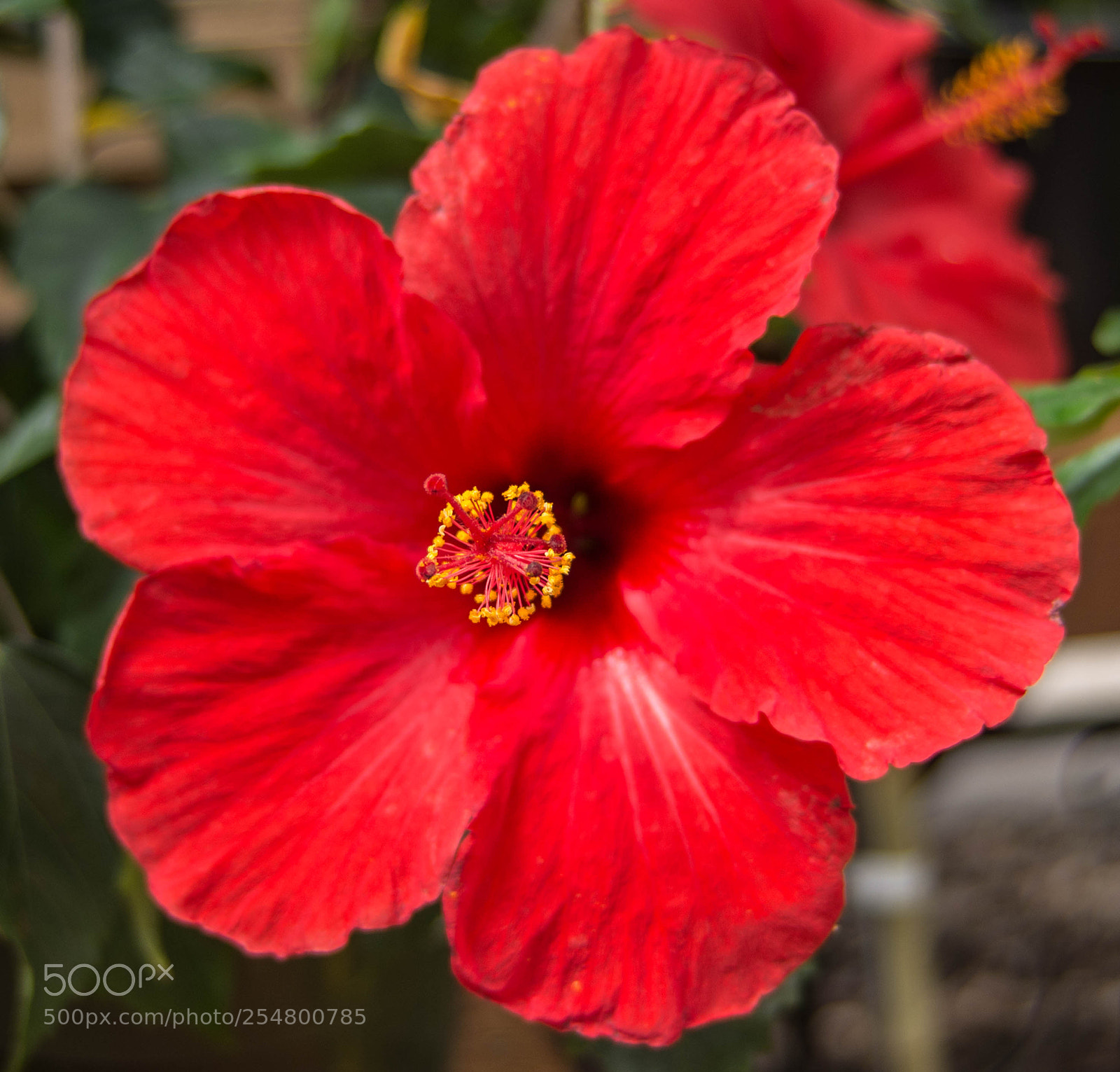 Nikon D7100 sample photo. Untitled photography