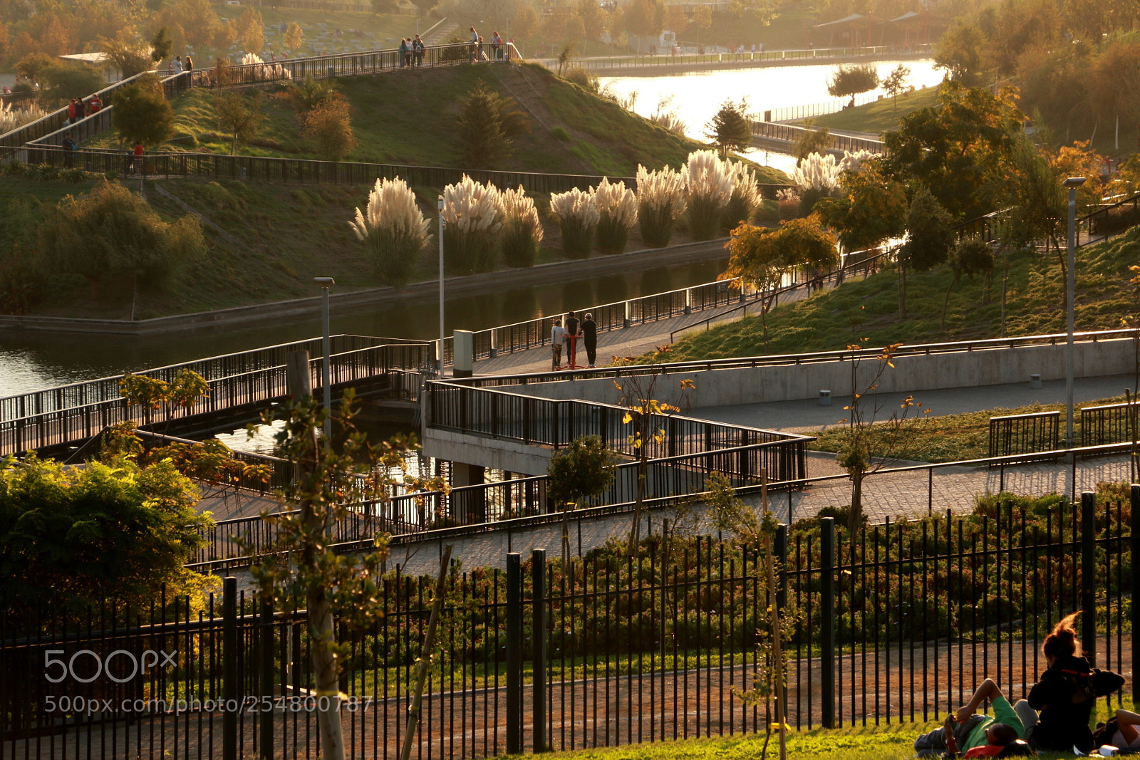 Canon EOS 70D sample photo. Parque fluvial en chile photography