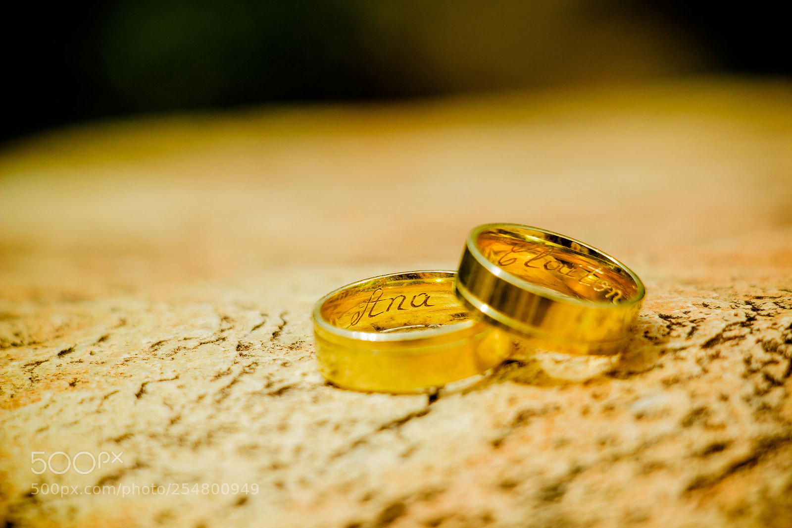 Canon EOS 70D sample photo. Img photography