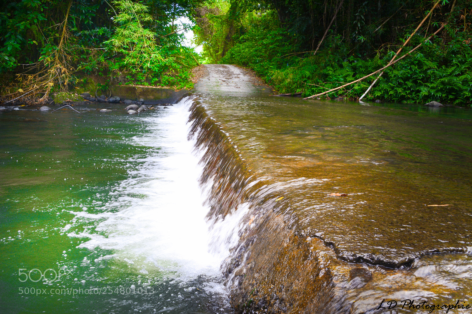 Nikon D5200 sample photo. Nature photography