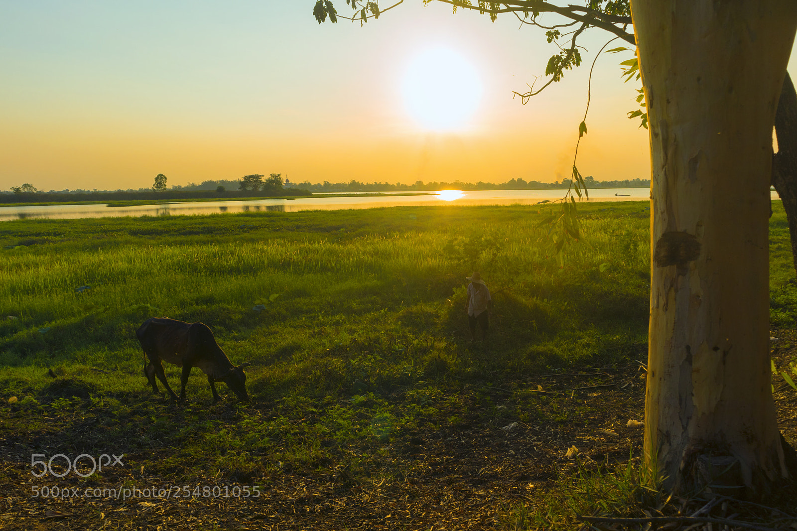 Canon EOS M6 sample photo. Evening at the lake photography