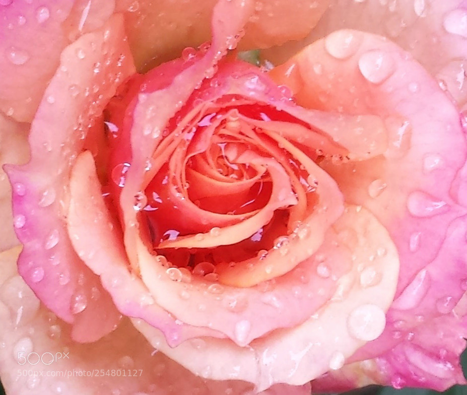 Samsung Galaxy S4 sample photo. Longing photography