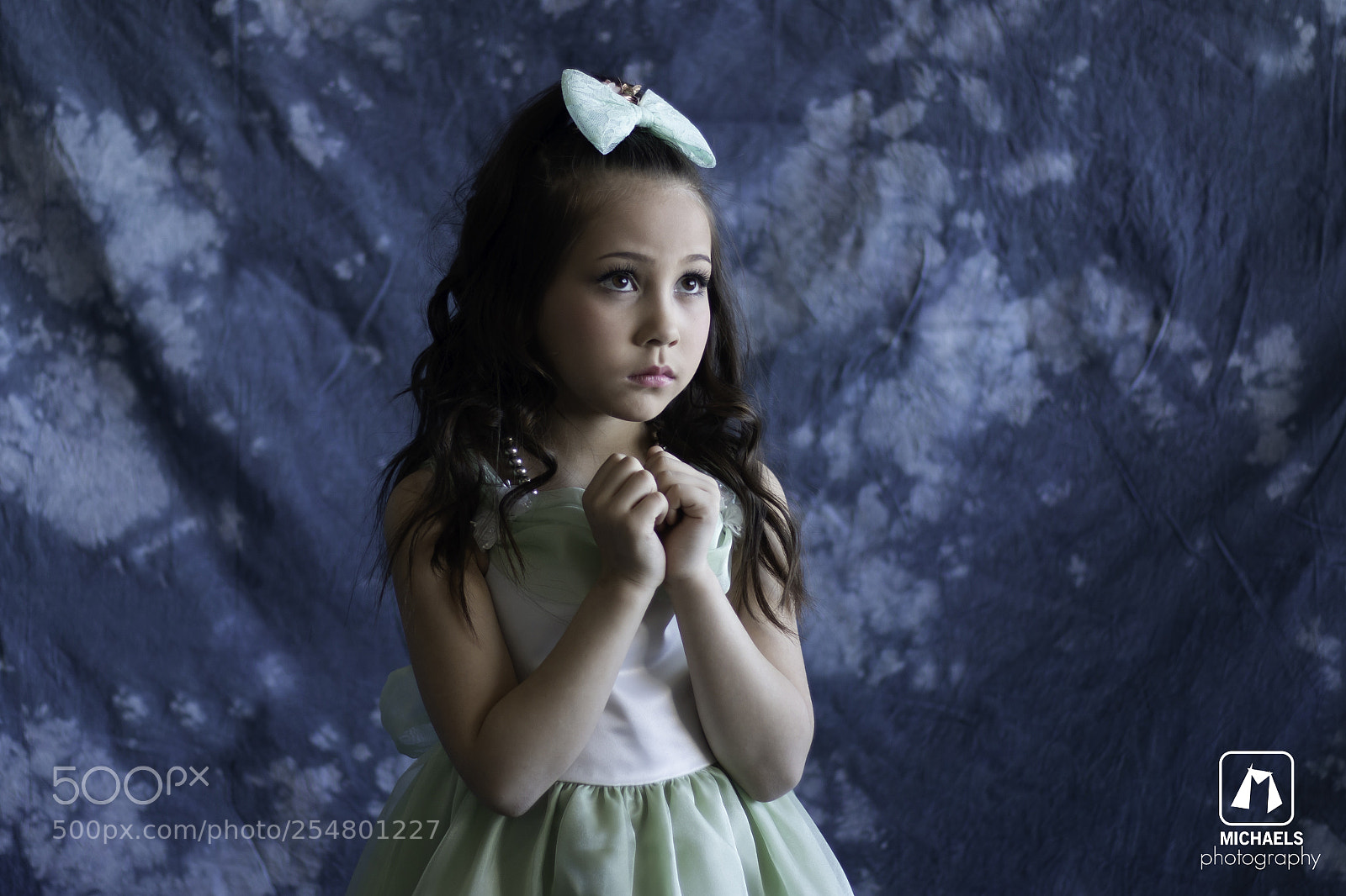 Canon EOS 70D sample photo. Studio photography