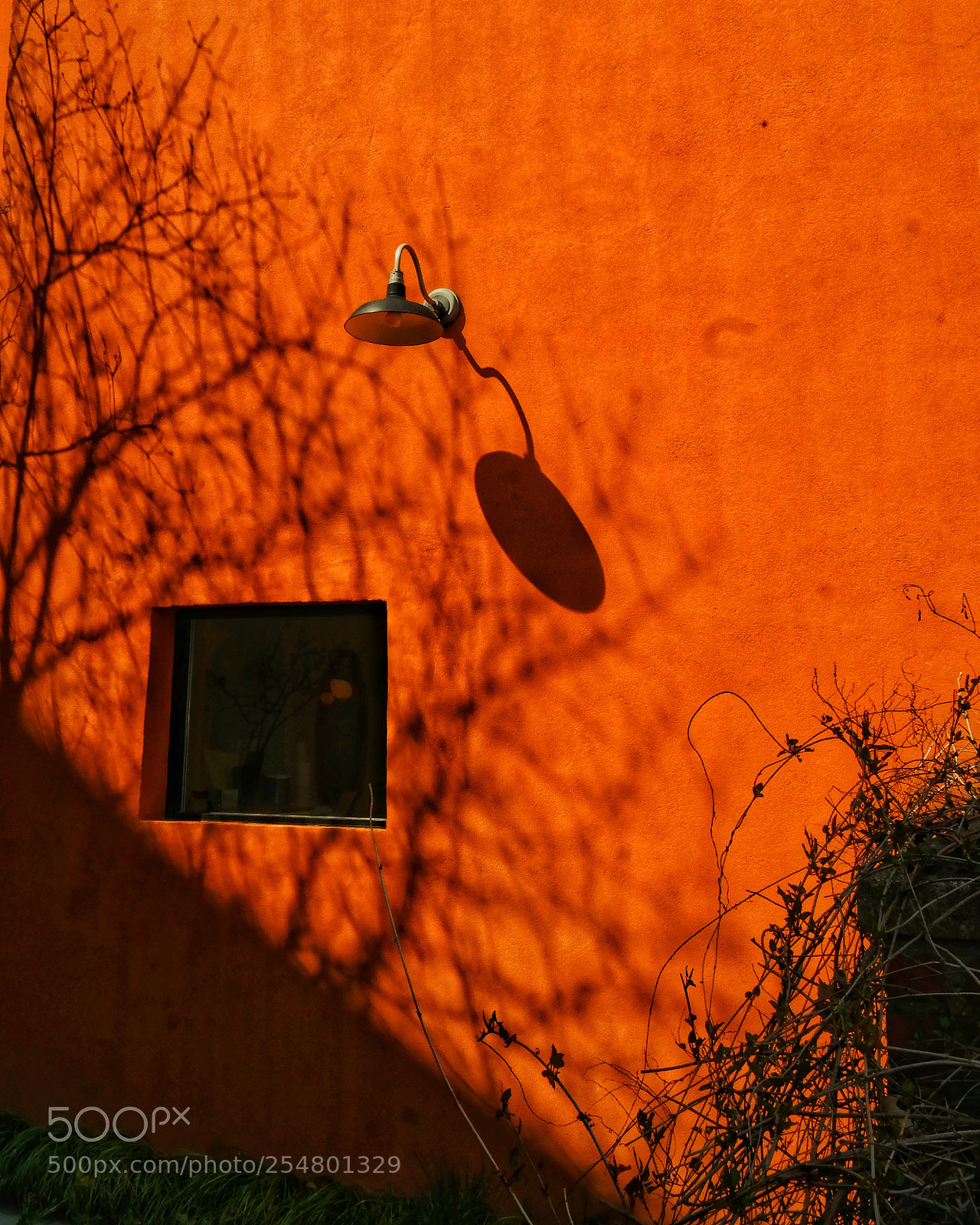 Samsung NX300 sample photo. Orange photography