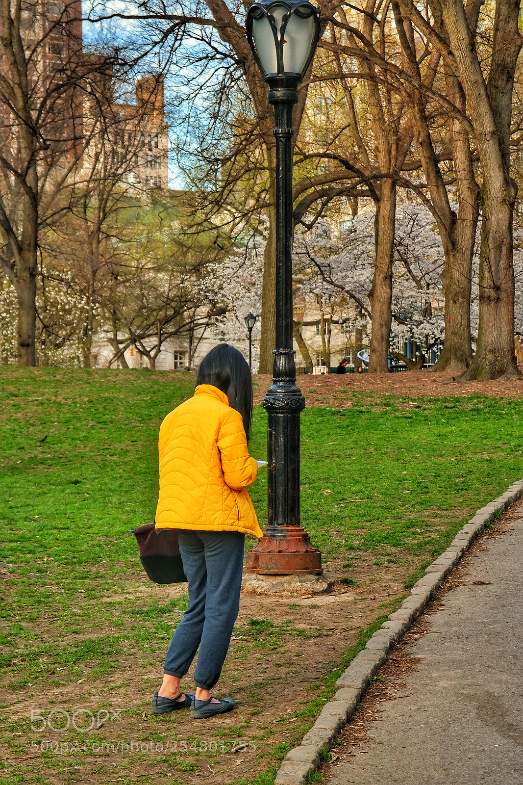 Samsung NX300 sample photo. Yellow jacket photography