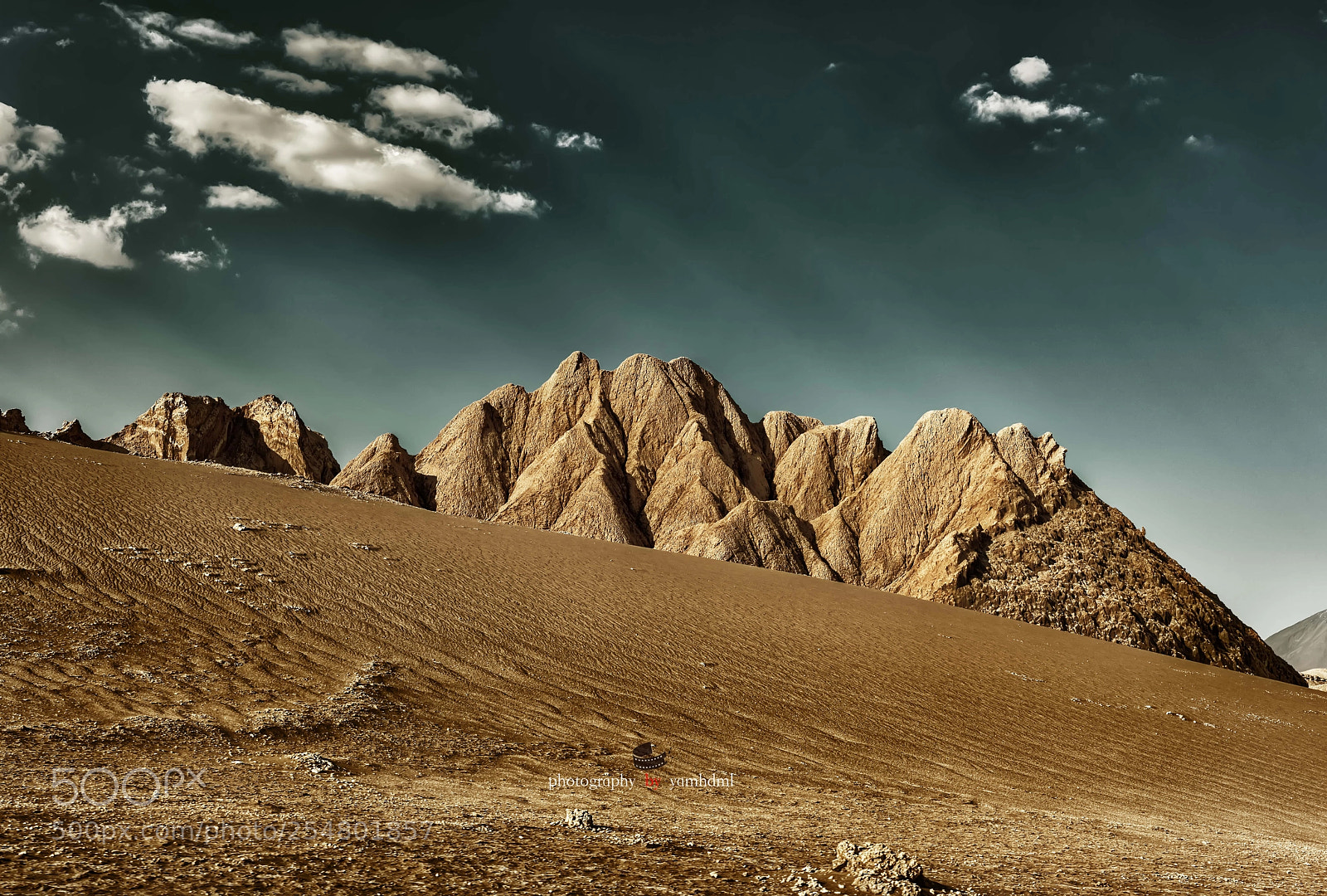 Nikon D810 sample photo. 大漠金山 photography