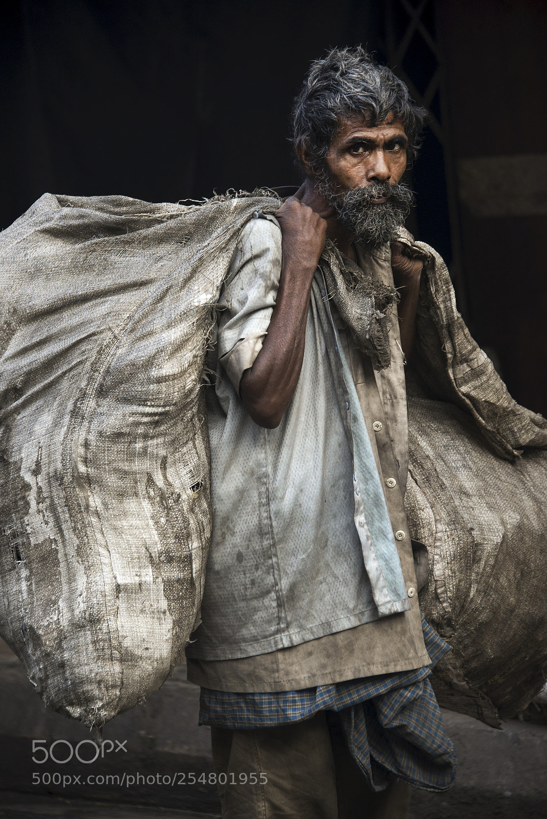 Nikon D800E sample photo. Finding dignity on the photography