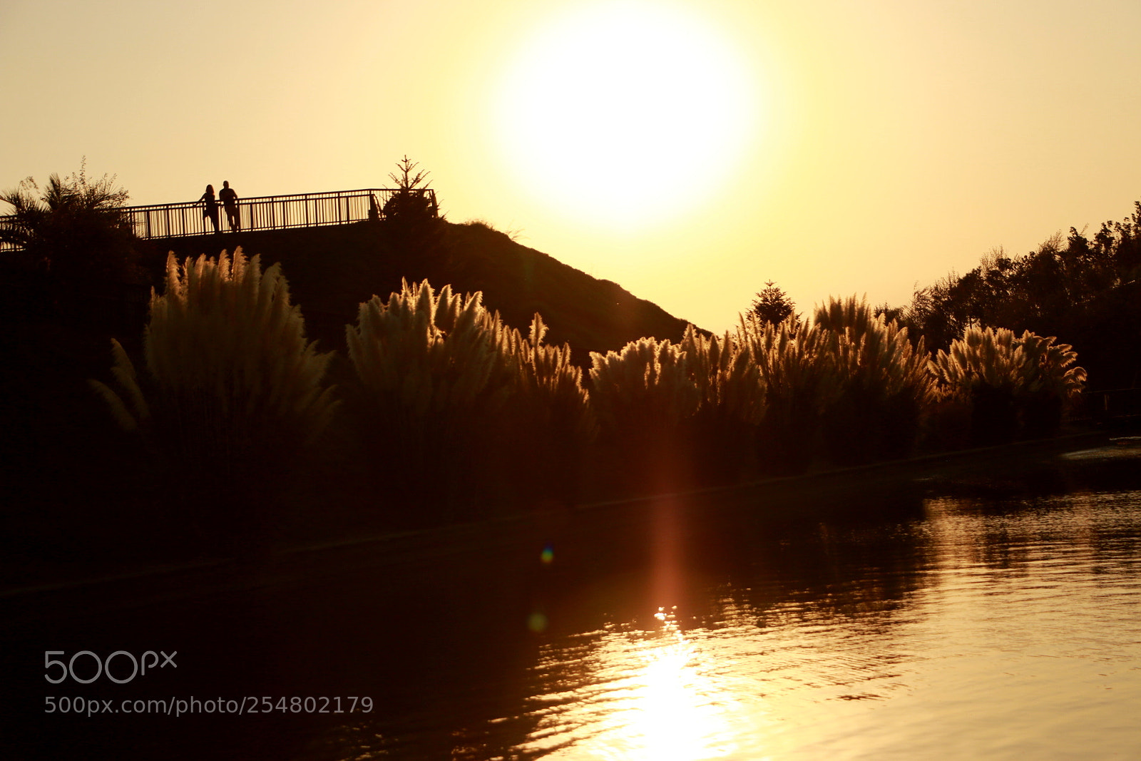 Canon EOS 70D sample photo. Couple photography