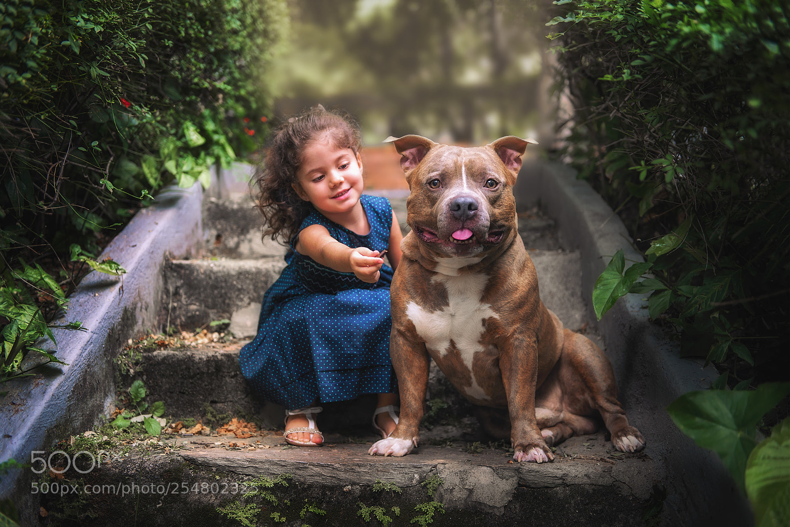 Nikon D610 sample photo. Friends photography