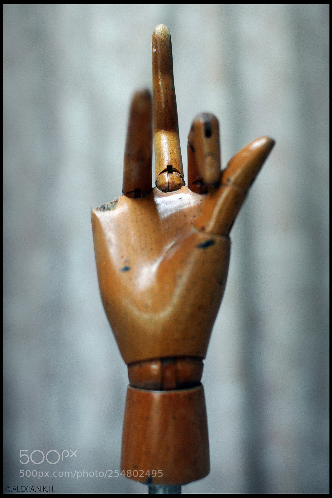 Canon EOS 5D Mark II sample photo. Woody f*ck photography