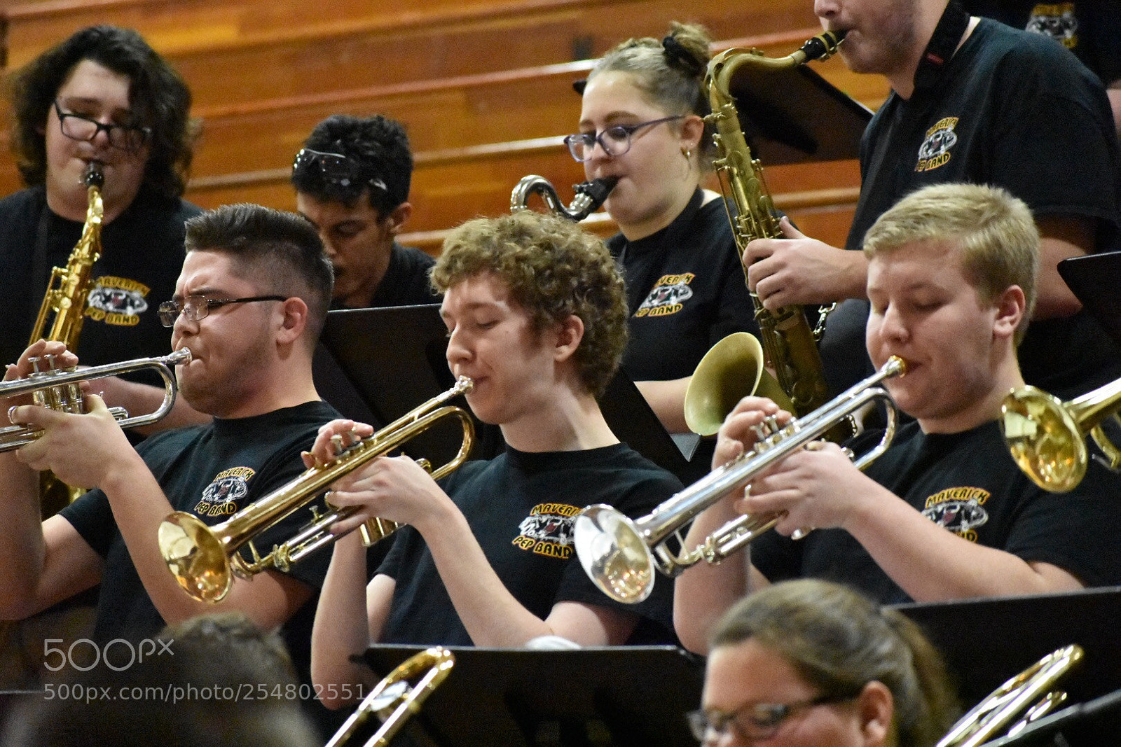Nikon D3400 sample photo. Trumpets, oh my photography