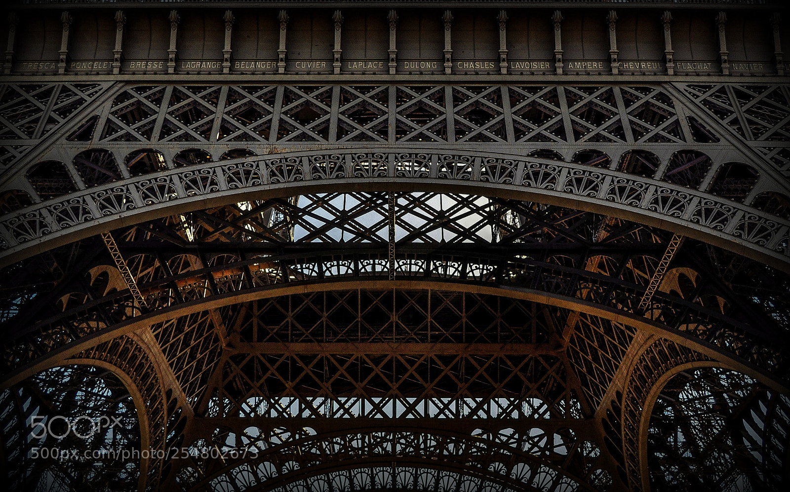 Nikon D90 sample photo. Img photography