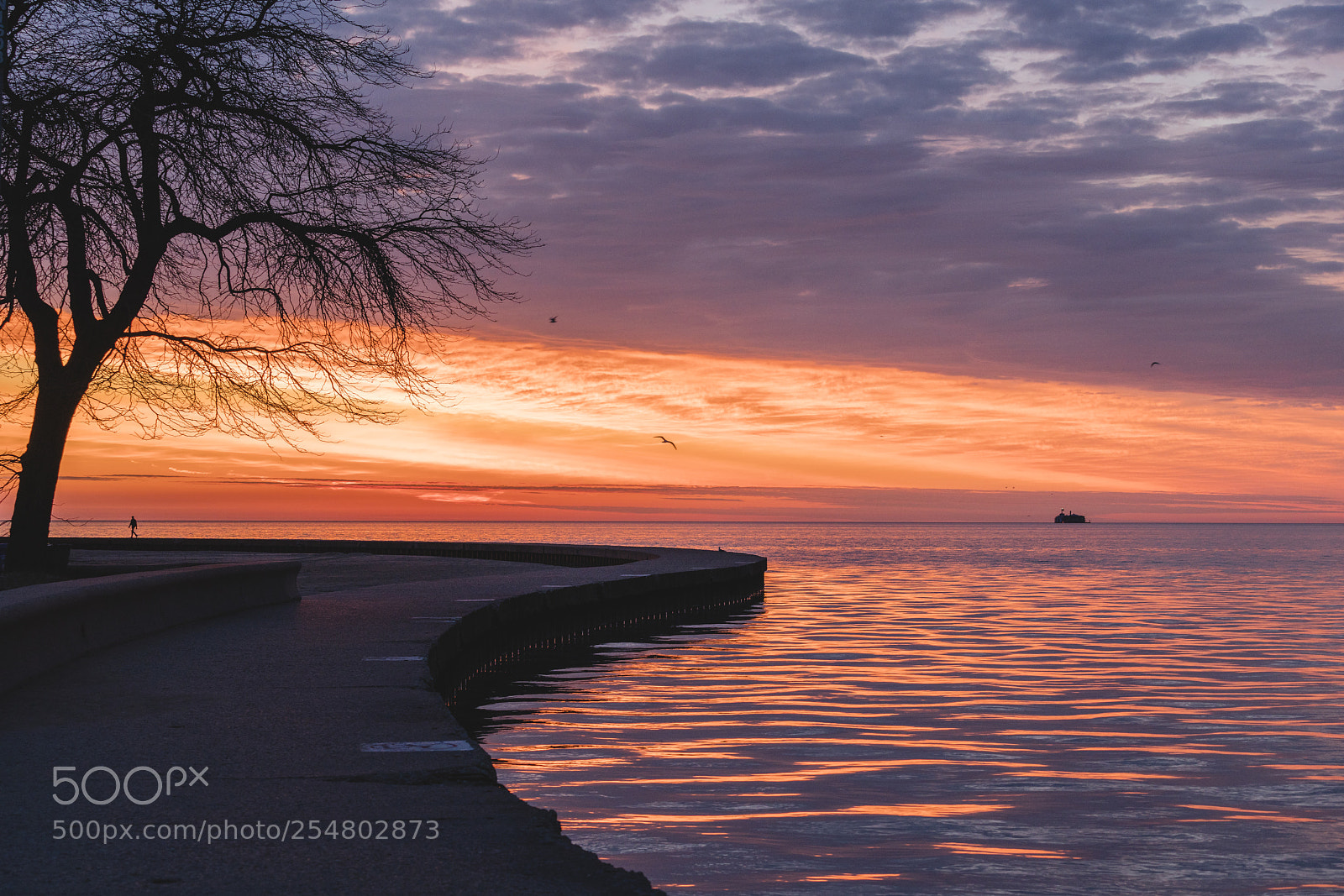 Sony a7R III sample photo. Fire on the horizon photography