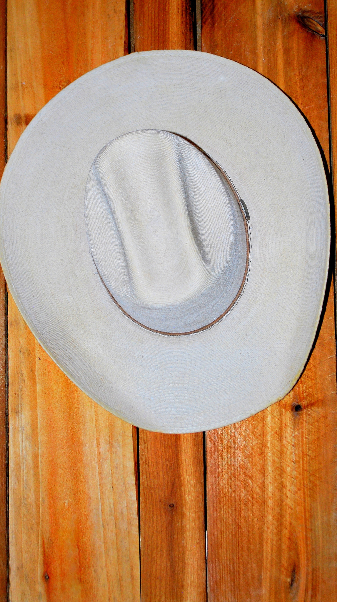 Nikon D60 sample photo. Cowboy hat. photography