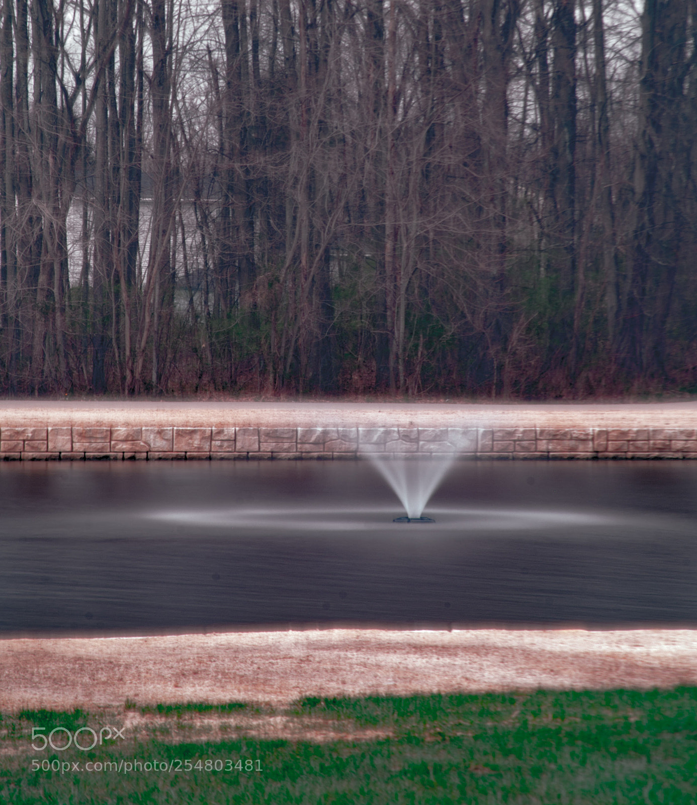 Canon EOS-1D Mark III sample photo. Untitled photography