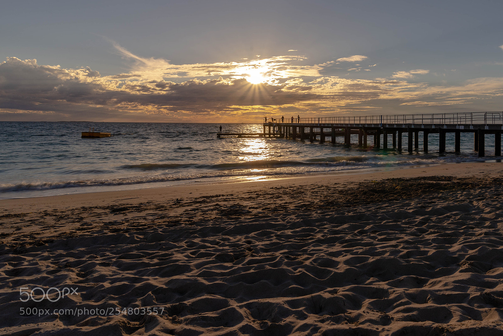 Nikon D610 sample photo. Coogee jetty photography