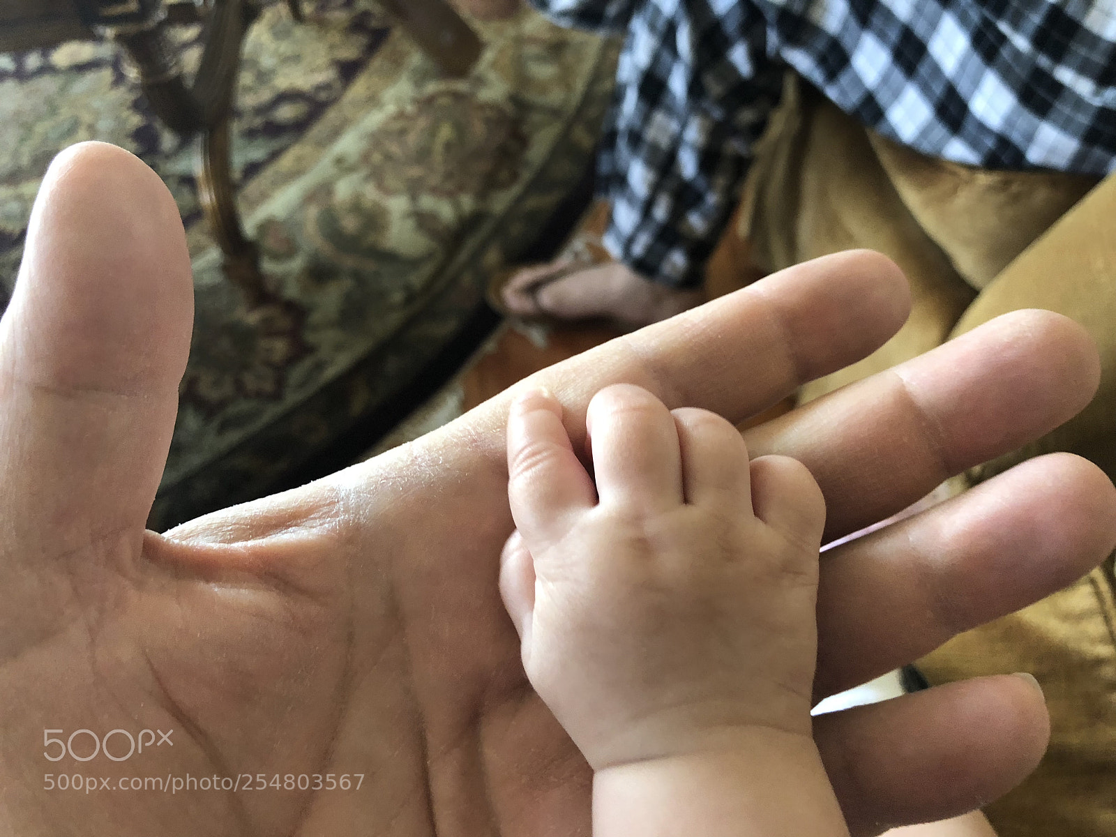 Apple iPhone X sample photo. Untitled photography