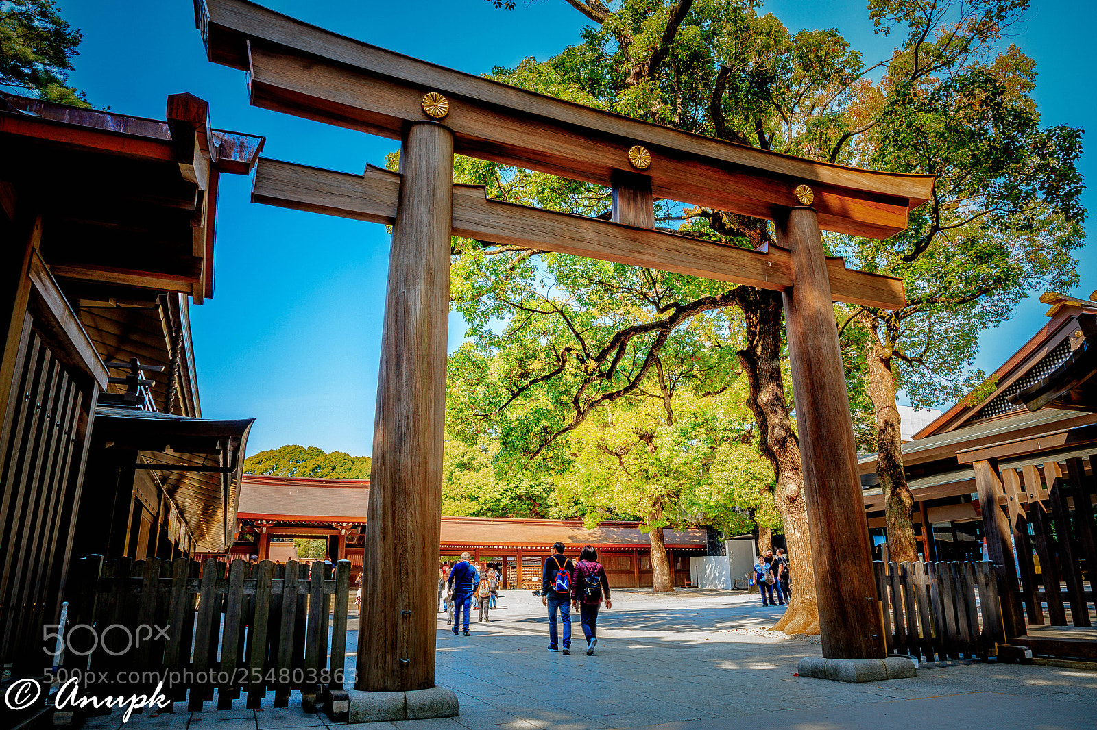 Canon EOS 5D Mark IV sample photo. A gate to tranquility photography