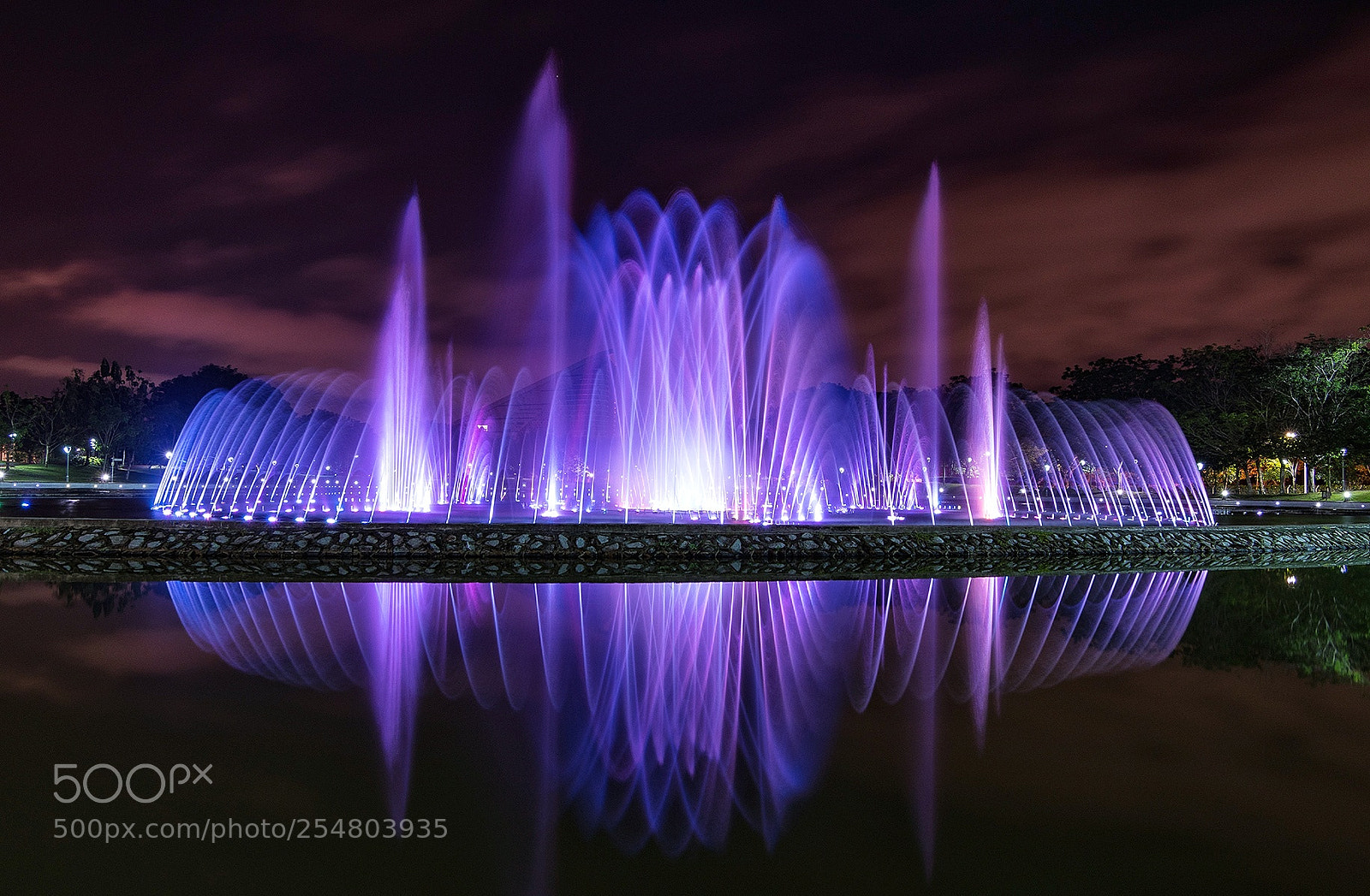 Nikon D5600 sample photo. Musical water fountain photography