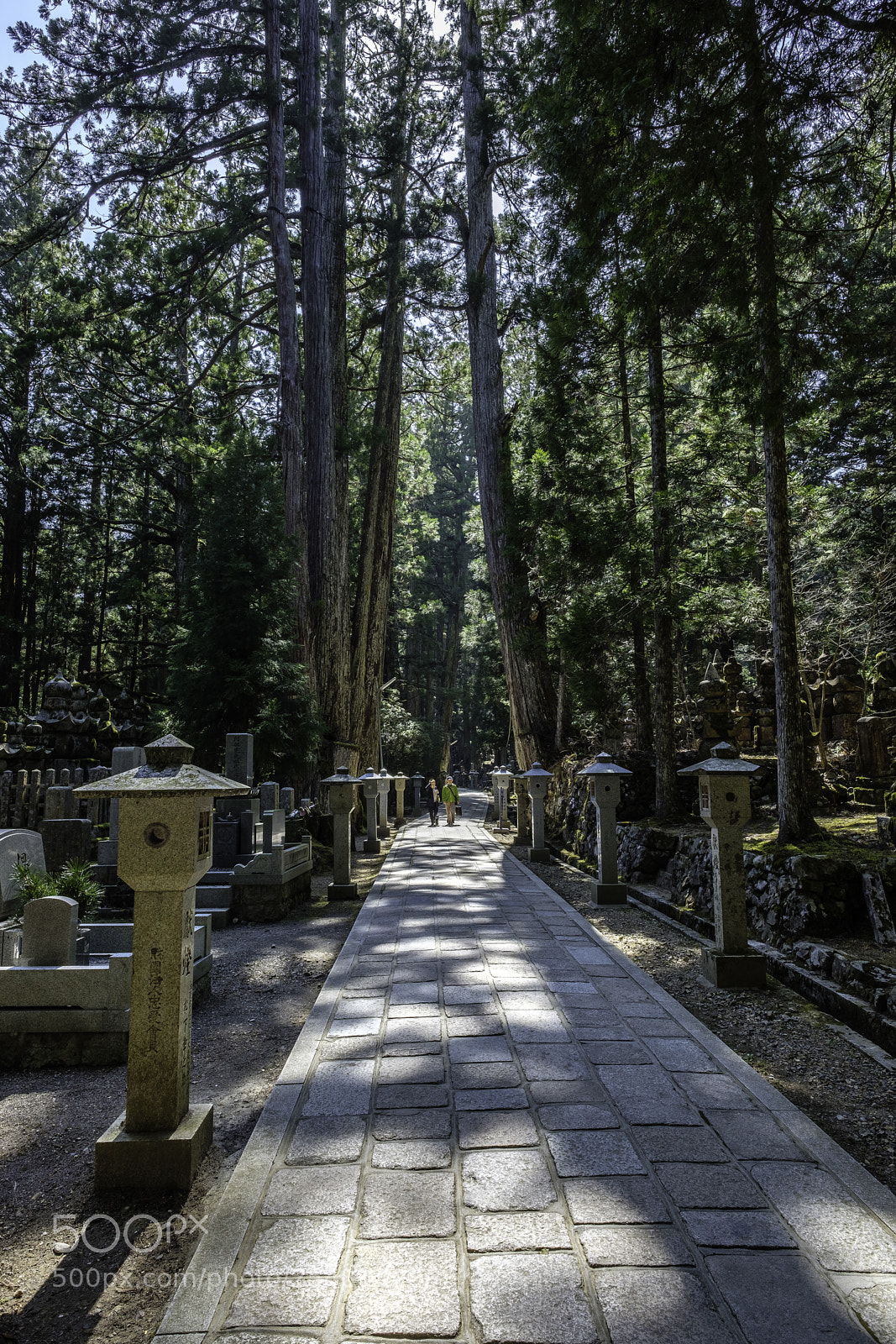 Fujifilm X-T2 sample photo. Japan-高野山 奧之院參拜道 photography