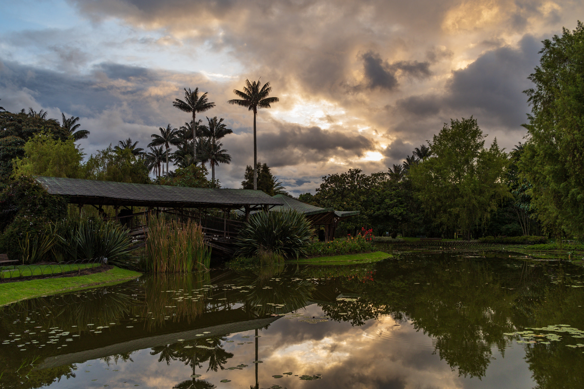 Pentax KP sample photo. Bogota botanical gardens photography