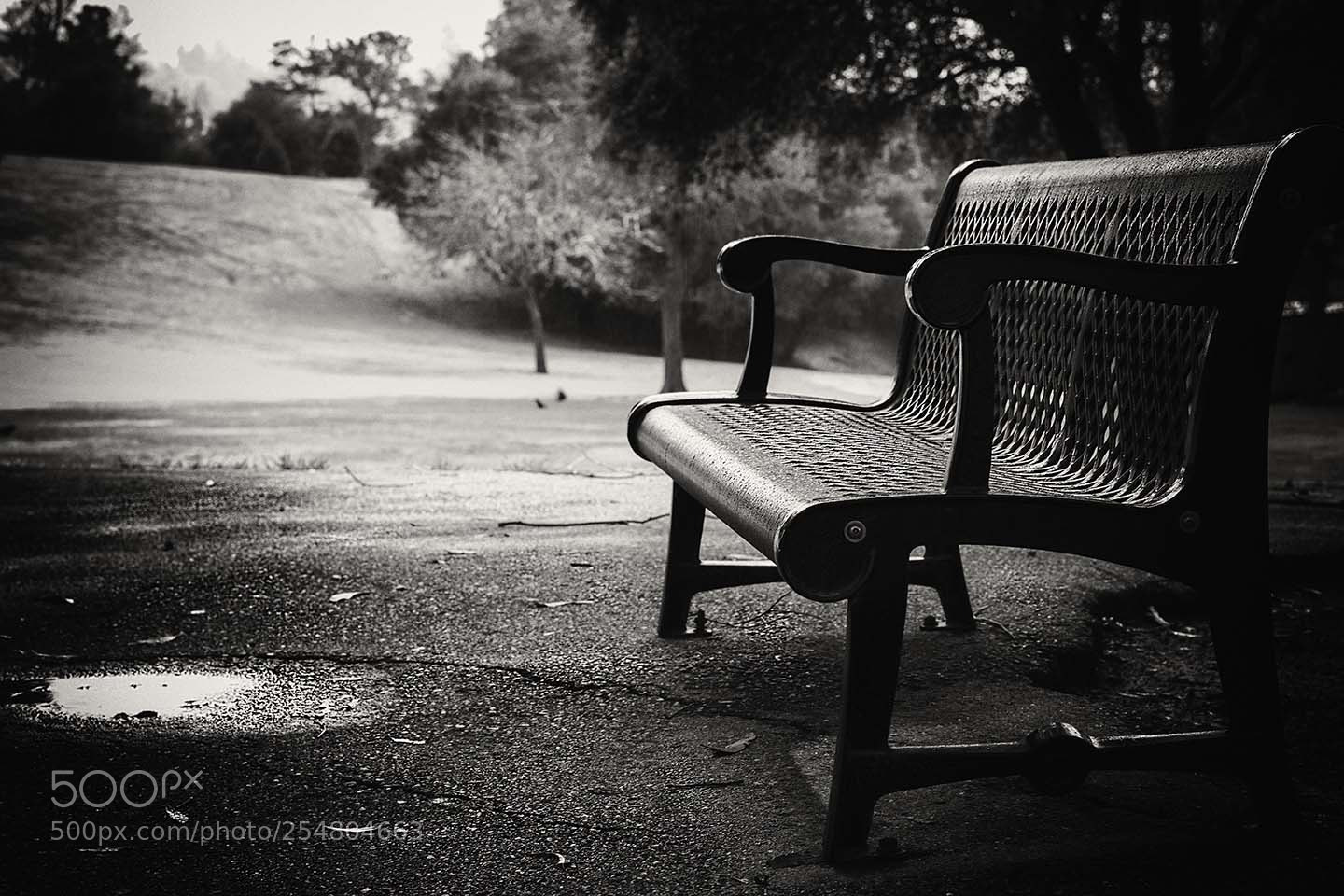 Sony a6000 sample photo. The black bench photography