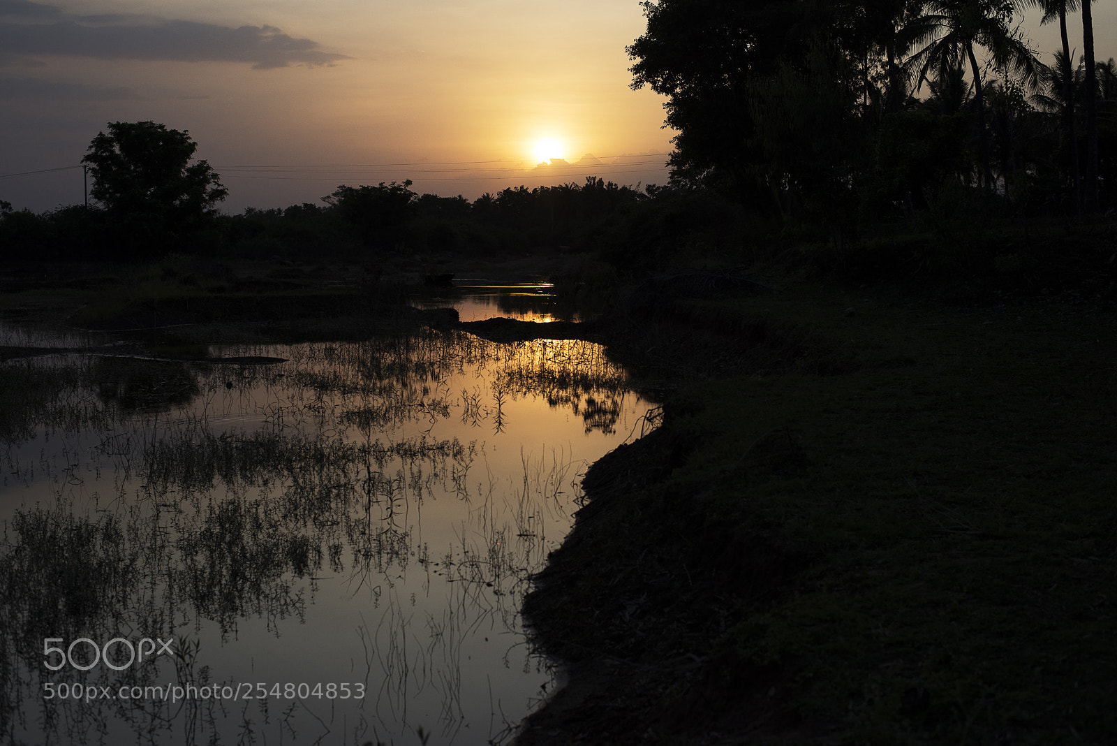Nikon D610 sample photo. Evening lights photography