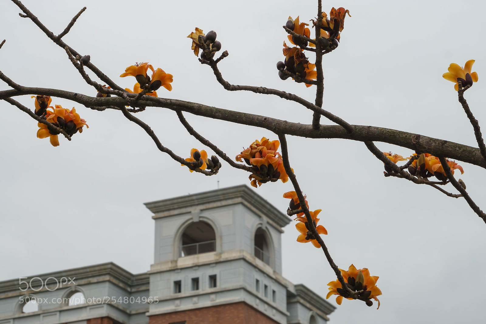Sony a6000 sample photo. Dsc photography