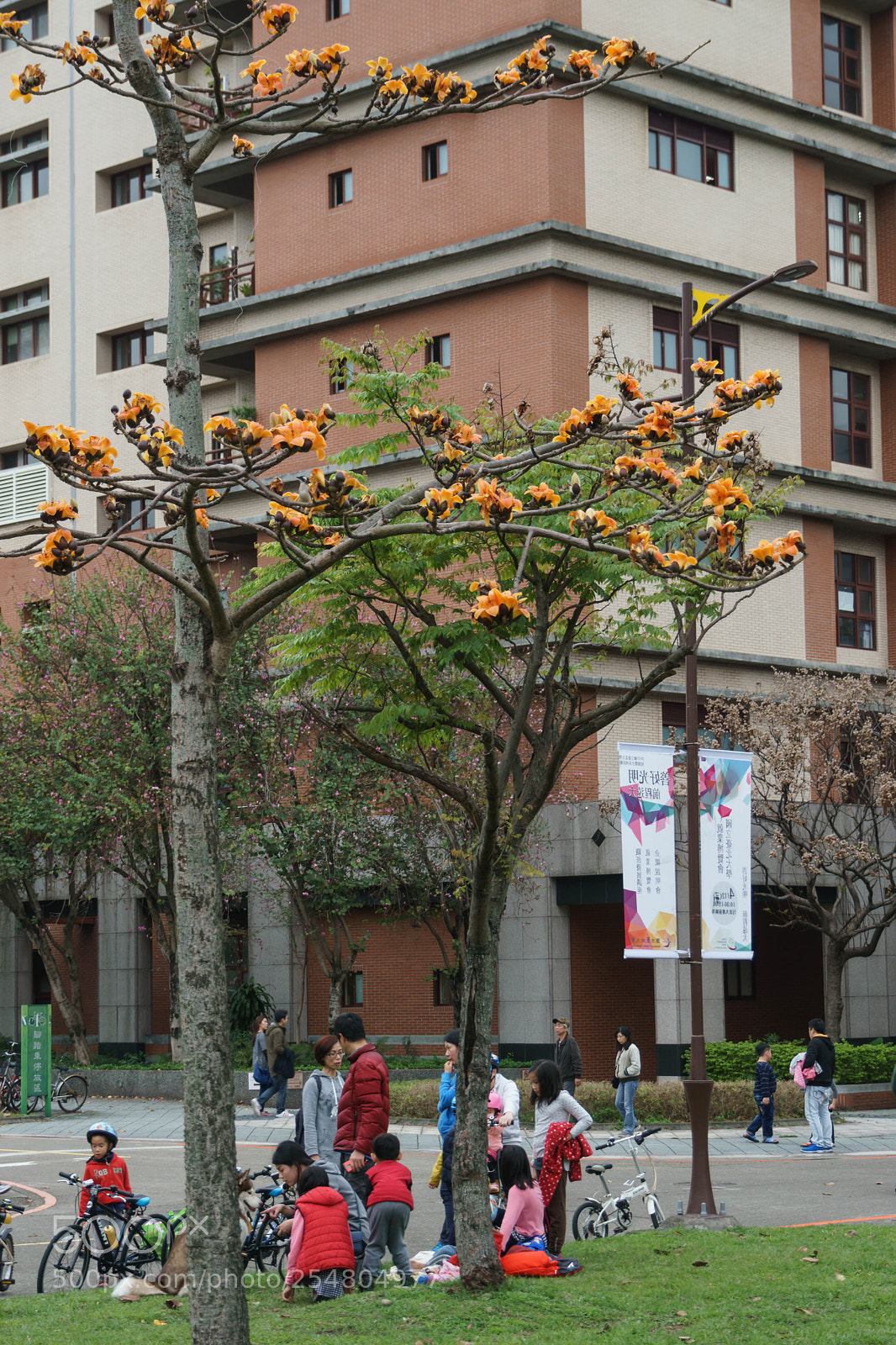 Sony a6000 sample photo. Dsc photography