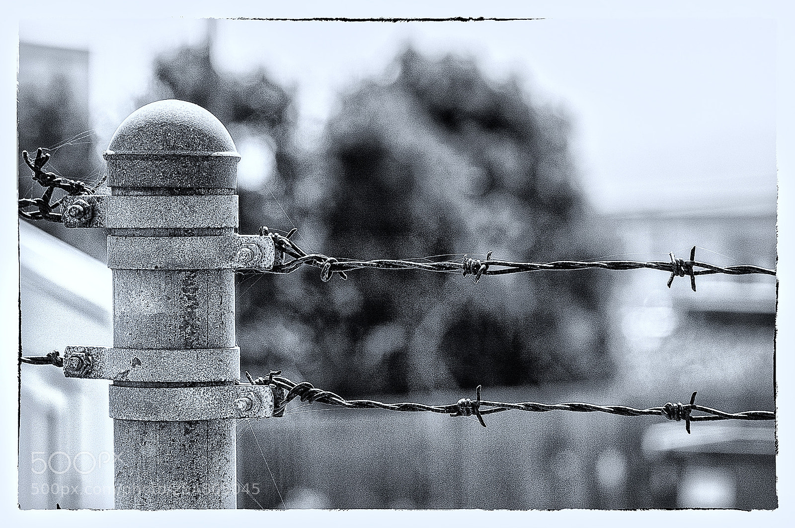 Nikon D70s sample photo. Fence photography