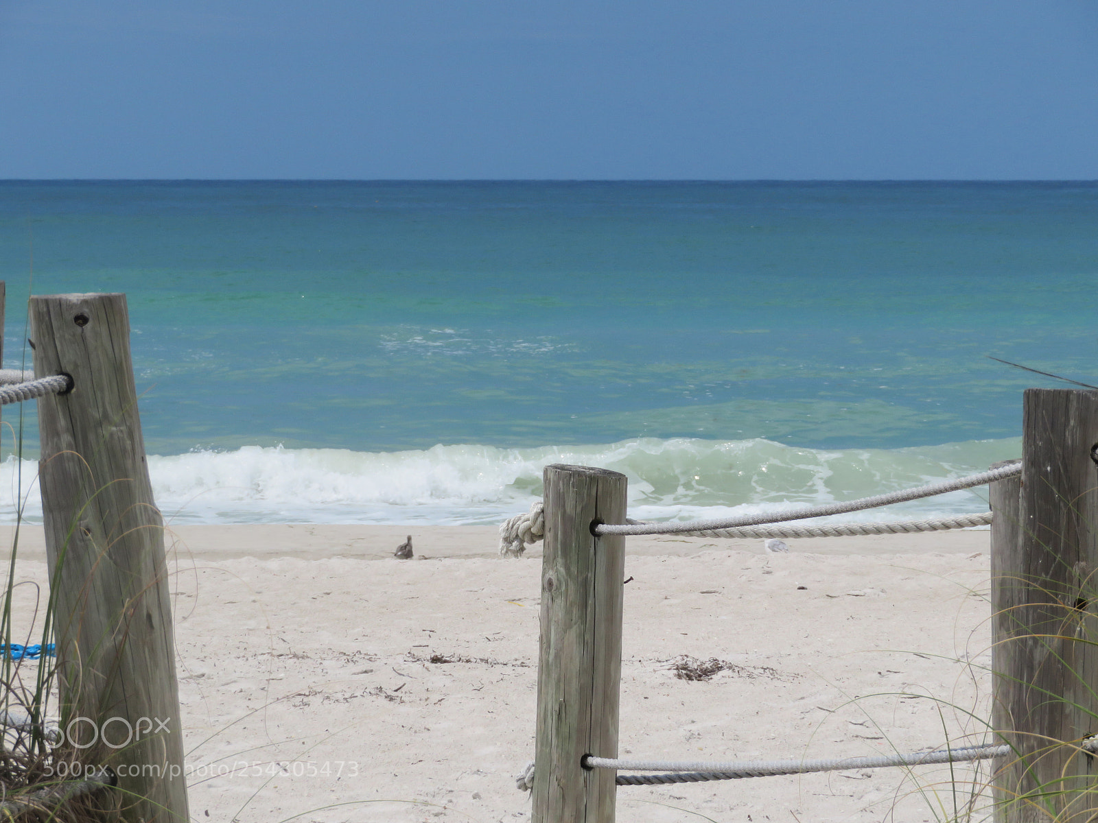 Canon PowerShot SX720 HS sample photo. Img photography