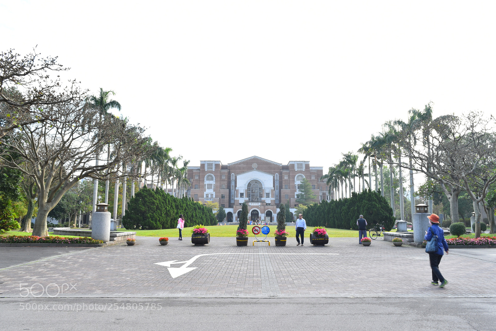 Nikon D5500 sample photo. Dsc photography