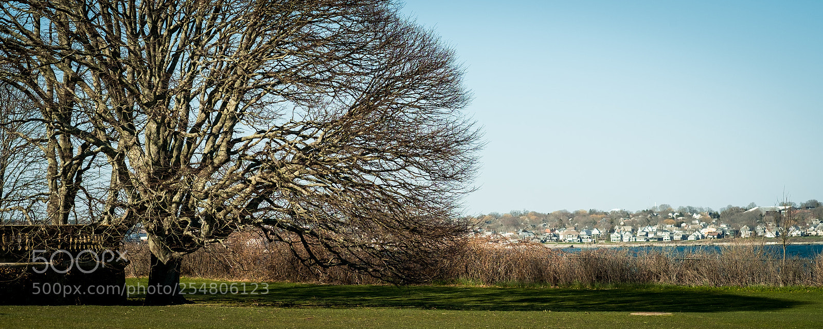 Fujifilm X-Pro1 sample photo. Dsf photography