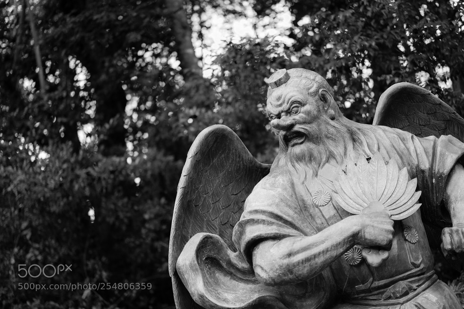 Sony a7R II sample photo. Tengu photography