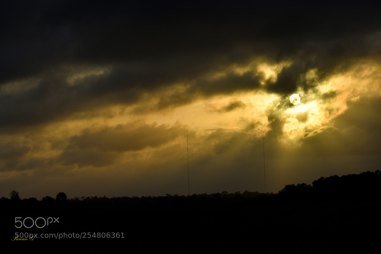 Nikon D3400 sample photo. Orlando wetlands sunset !! photography