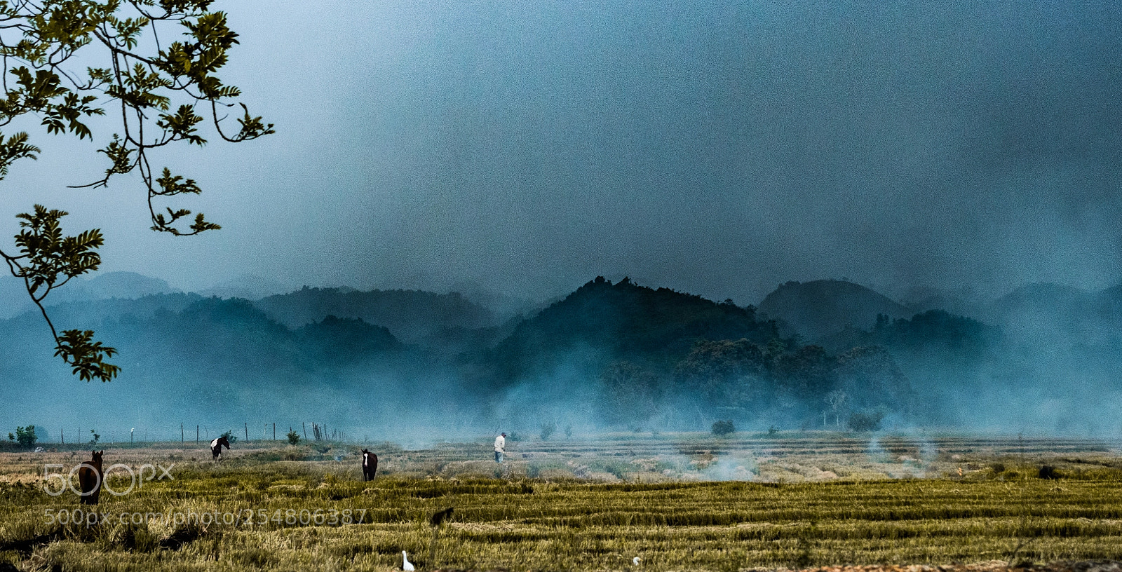 Olympus OM-D E-M5 sample photo. Farming photography