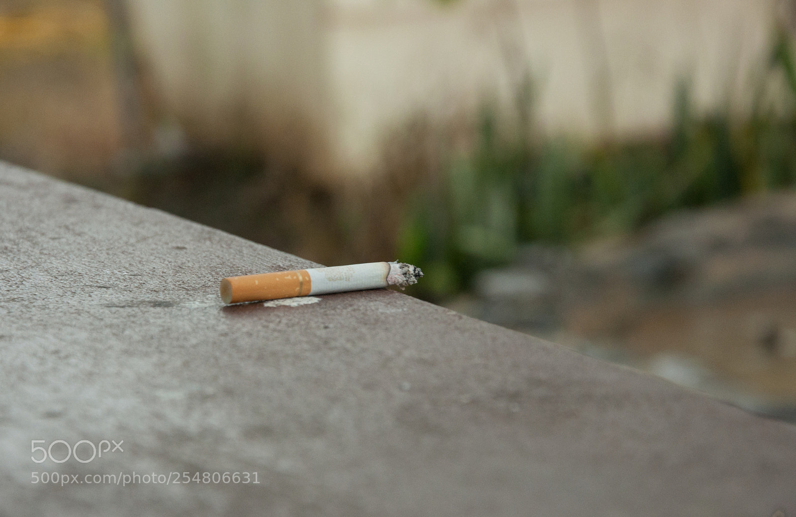 Nikon D90 sample photo. Abandoned cigarette photography