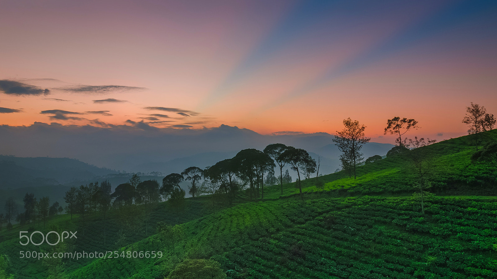 Nikon D7000 sample photo. Cukul sunrise point photography
