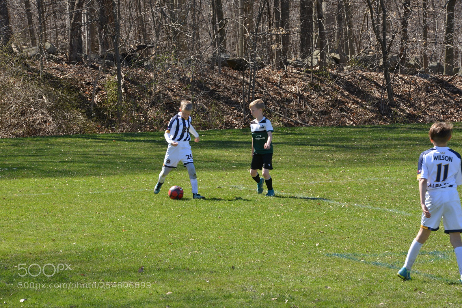 Nikon D800 sample photo. Storm vs clash photography