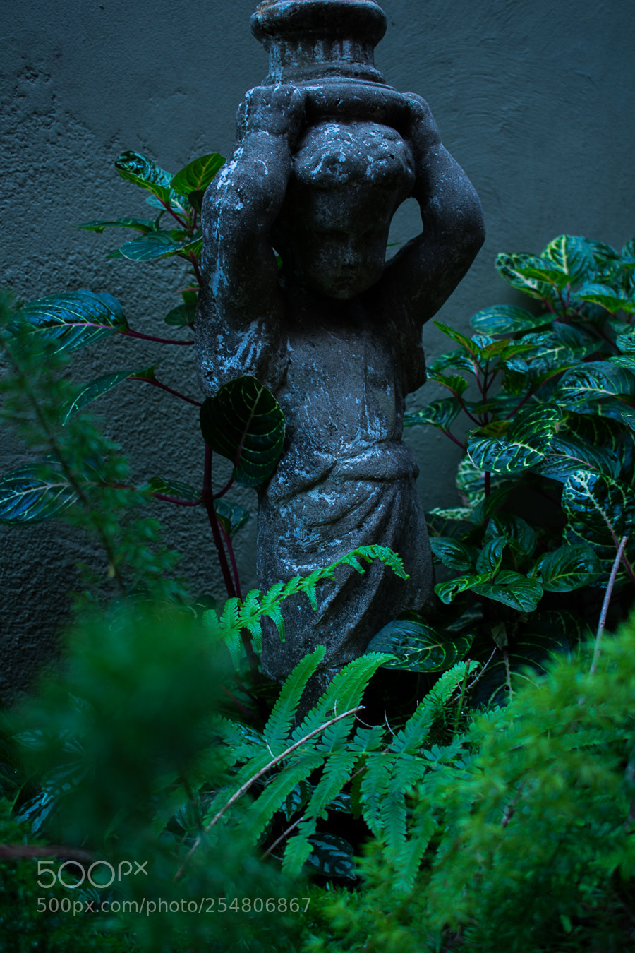Nikon D3400 sample photo. Green mood photography