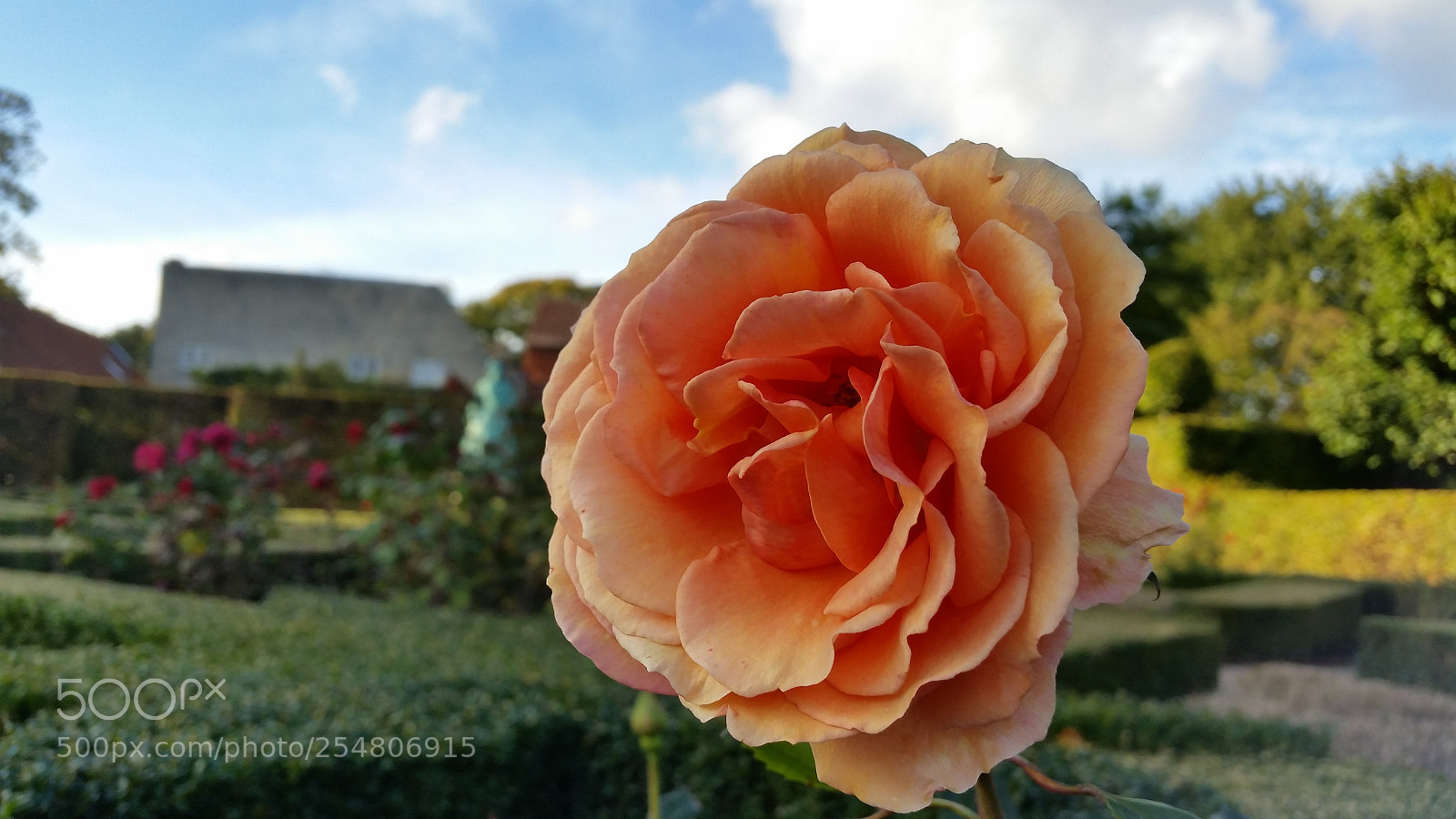 Samsung Galaxy S5 sample photo. 20141012_162102.jpg photography