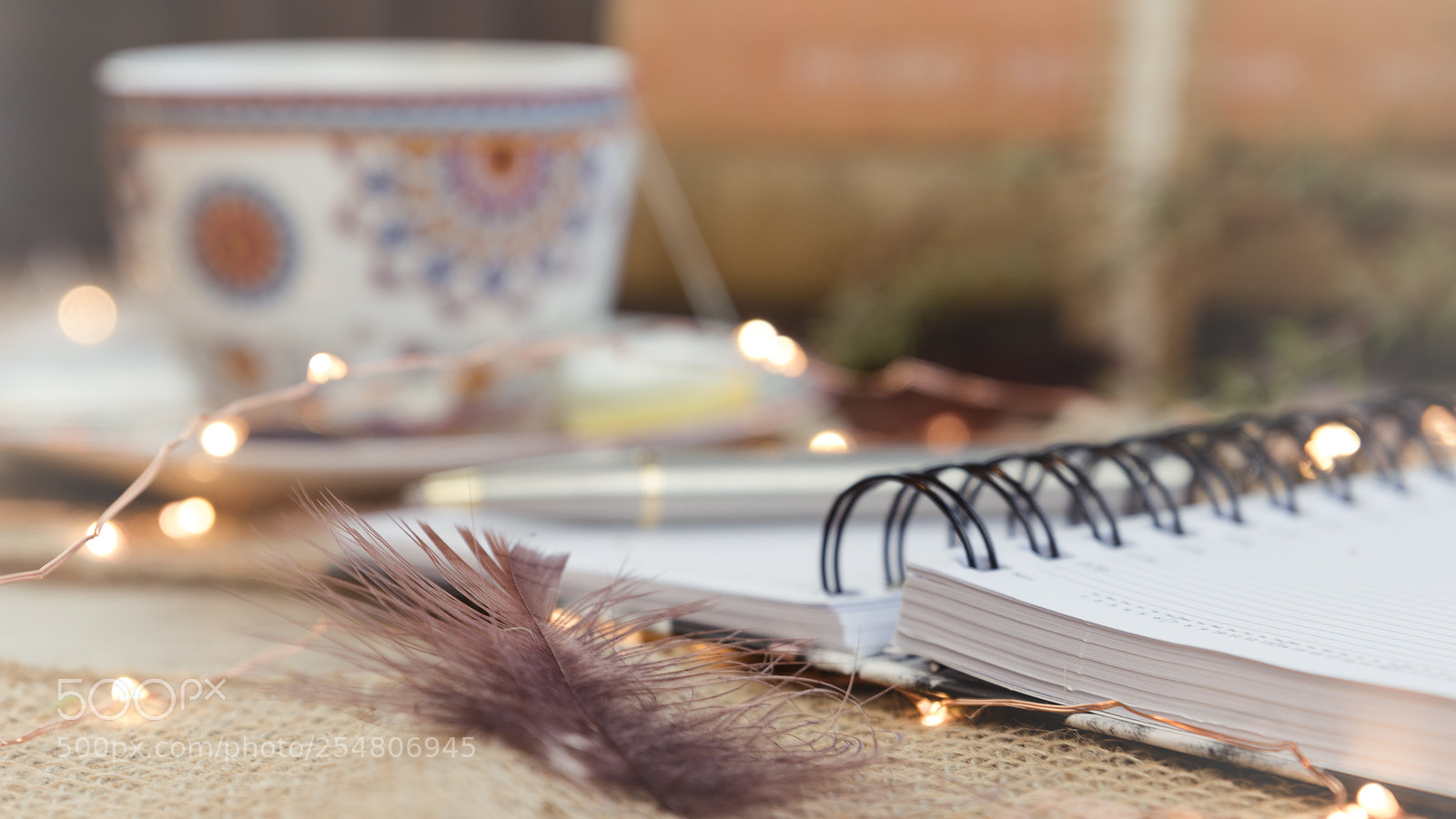 Canon EOS 750D (EOS Rebel T6i / EOS Kiss X8i) sample photo. Thoughts... photography