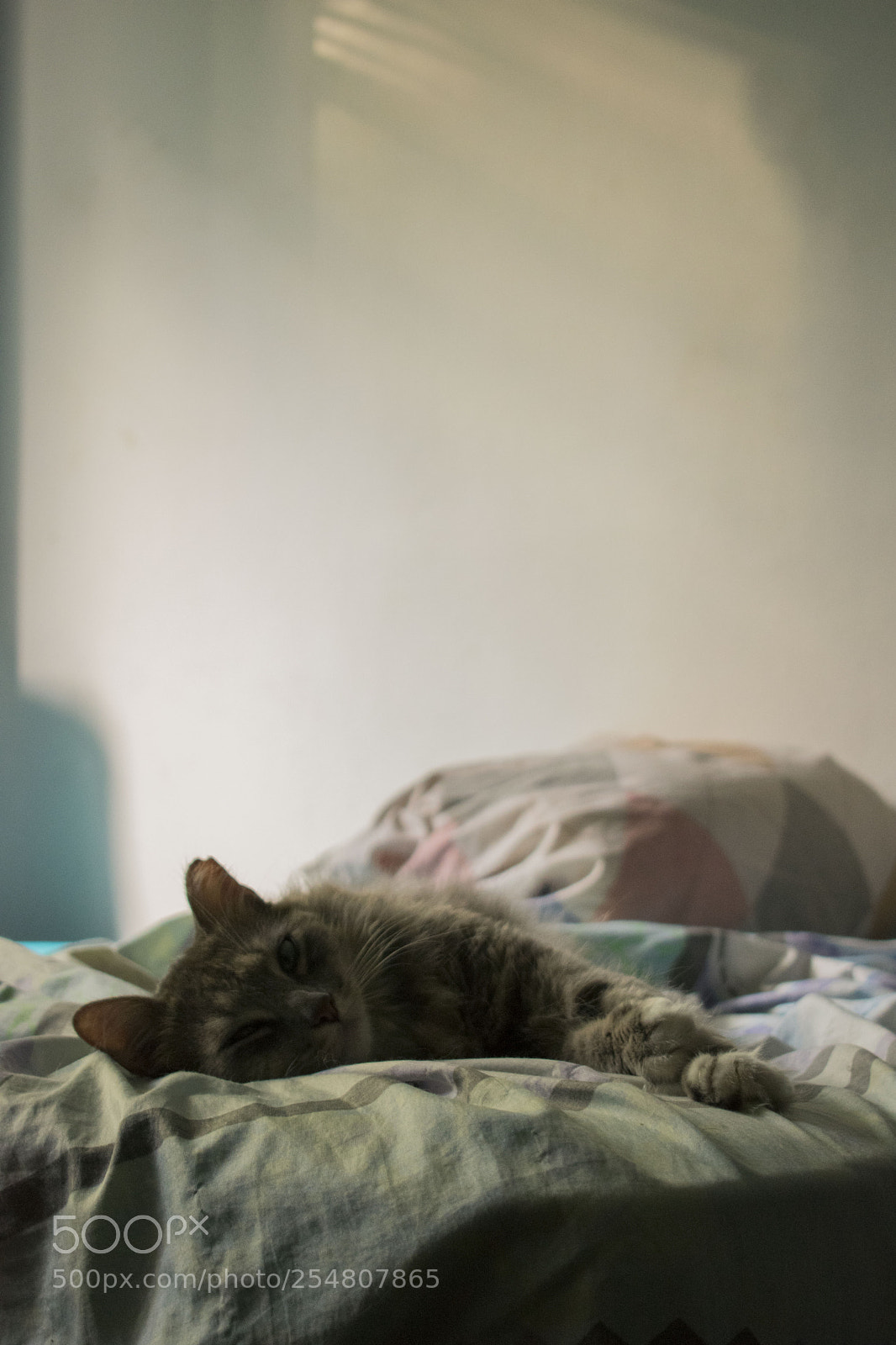 Nikon D3400 sample photo. Dsc photography